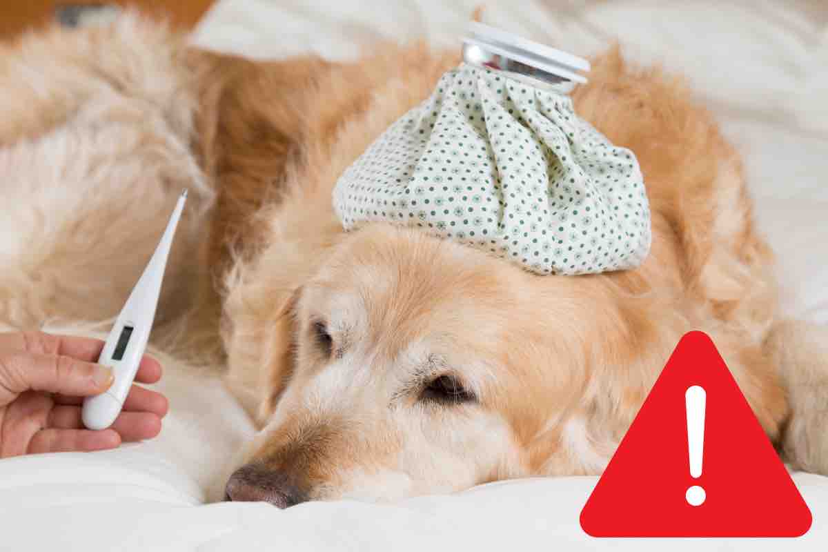 Segnali da non sottovalutare