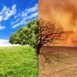 Clima, energia e biodiversità: le 5 sfide che rendono il 2025 l’anno più importante del decennio (e che può salvarci)