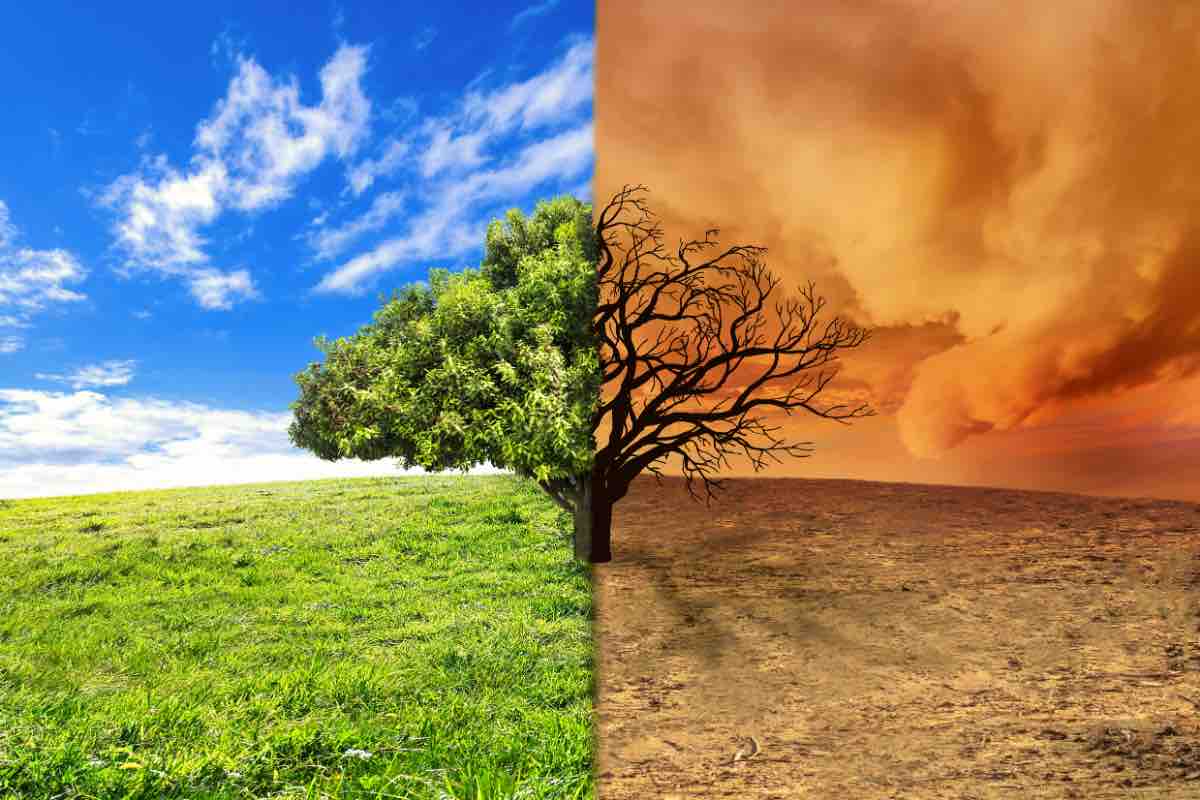 Ambiente e clima