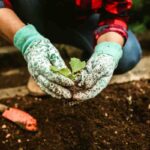 Cosa coltivare a ottobre? Le semine che pochi conoscono e che possono trasformare il tuo orto in una miniera di verdure