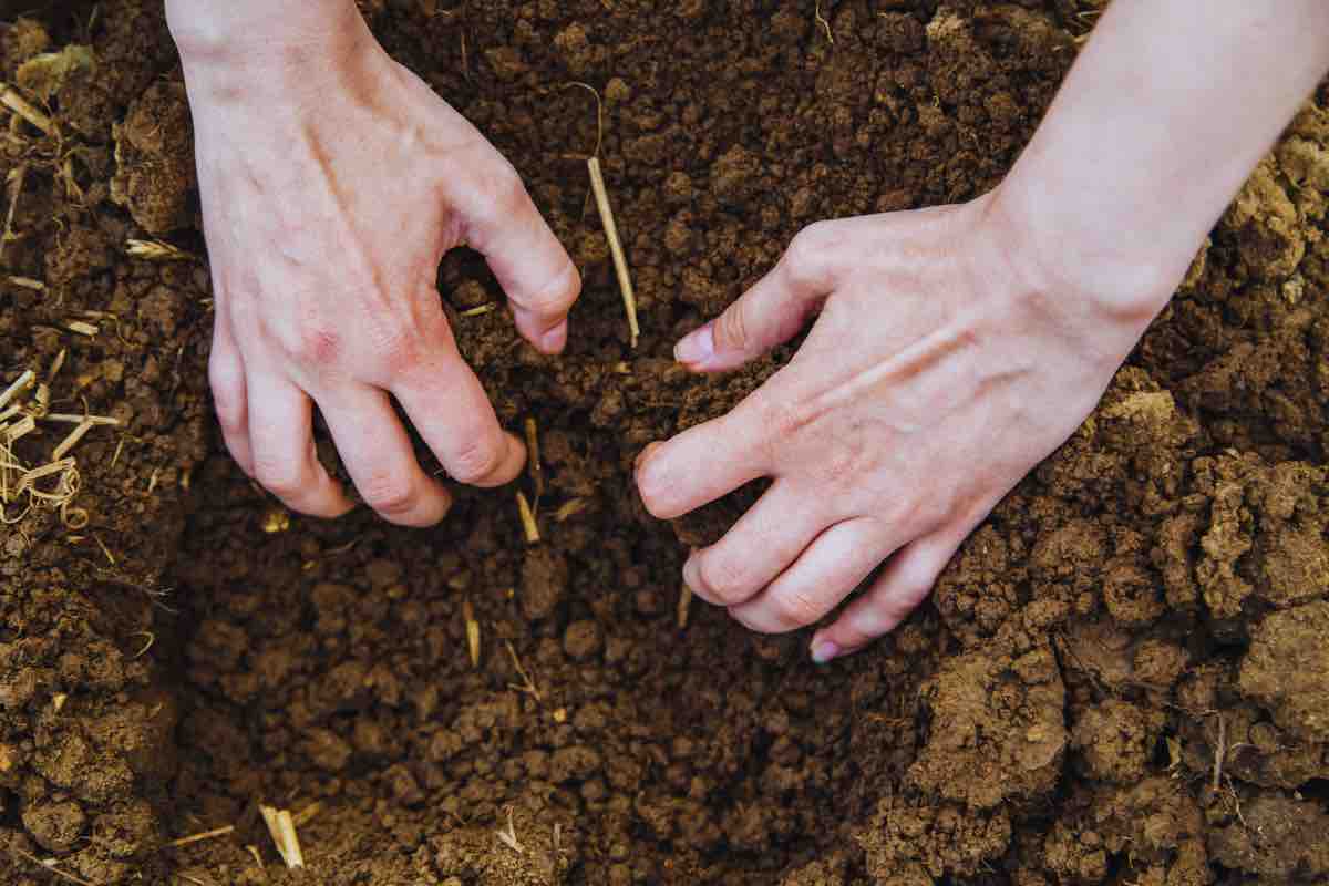 Importante la preparazione del terreno